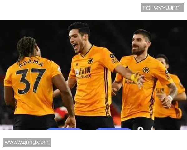 狼队与埃弗顿对决前瞻分析及比赛结果预测